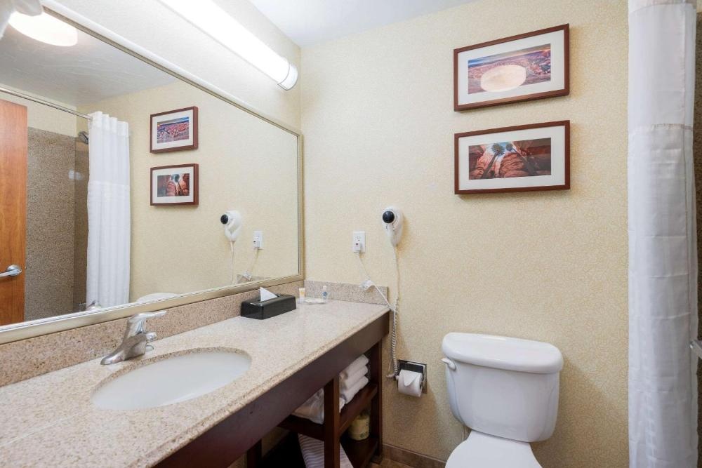 Comfort Inn And Suites Cedar City